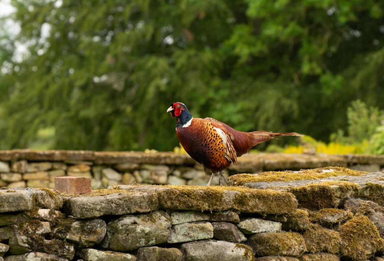 Rawcliffe House Farm Pickering Exterior foto