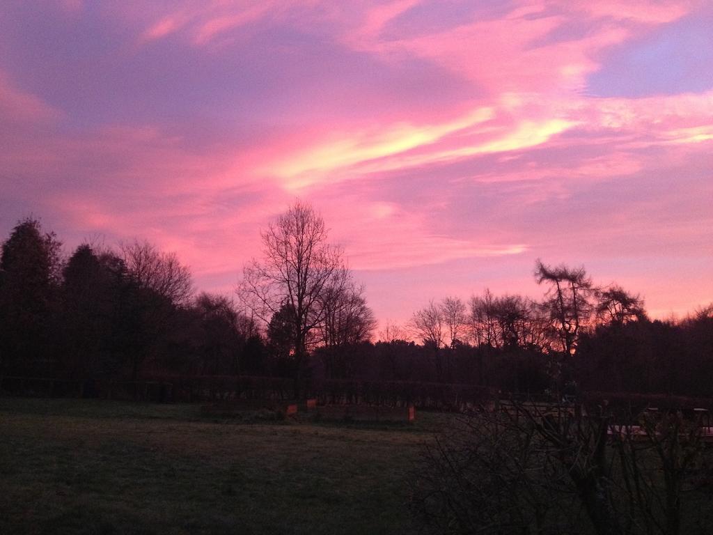 Rawcliffe House Farm Pickering Exterior foto