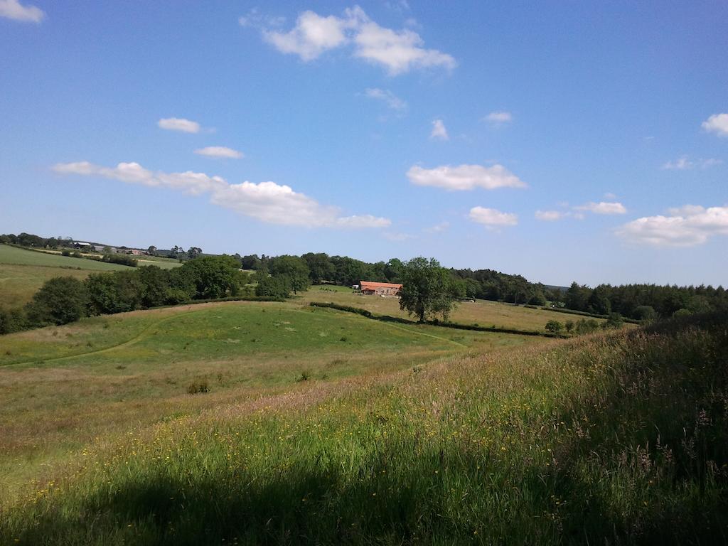 Rawcliffe House Farm Pickering Exterior foto