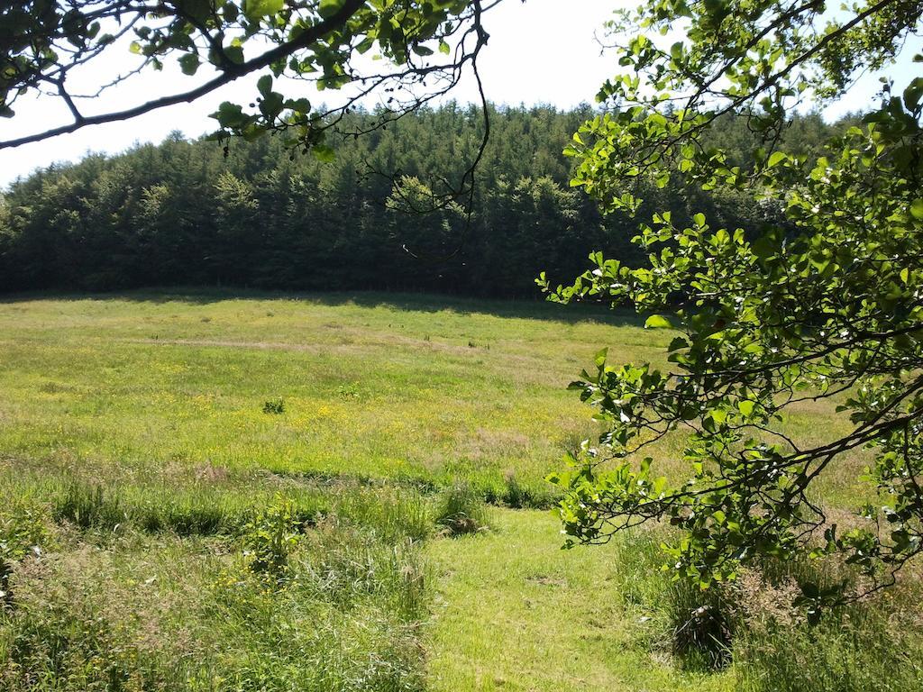 Rawcliffe House Farm Pickering Exterior foto
